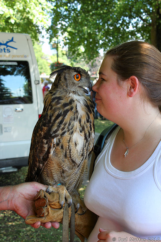 IMG 0548 Touched noses with an owl